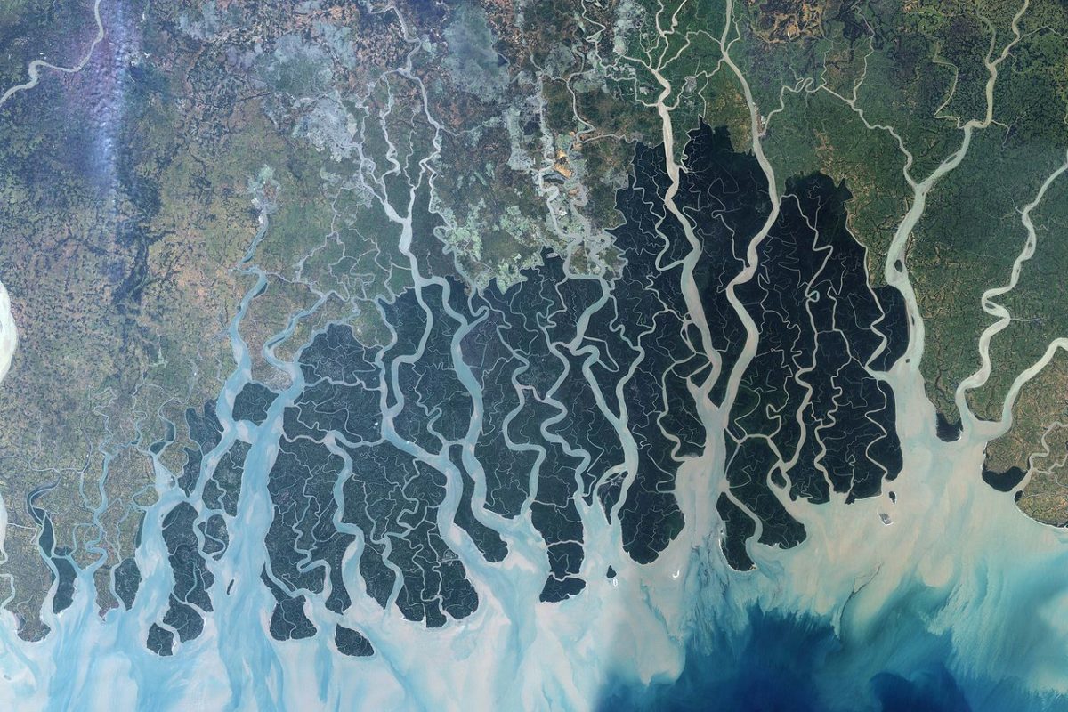 Immagine da satellite dei Sundarbans, fonte: Wikipedia.